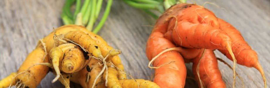 Pour votre santé, 5 fruits et légumes moches par jour!