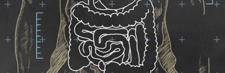 Obesitaschirurgie verbetert microbiota