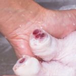 Ne lavez pas votre poulet!