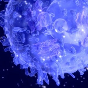 La recherche sur l’immunonutrition récompensée