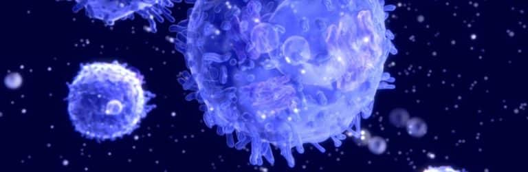 Onderzoek naar voeding en immuniteit beloond