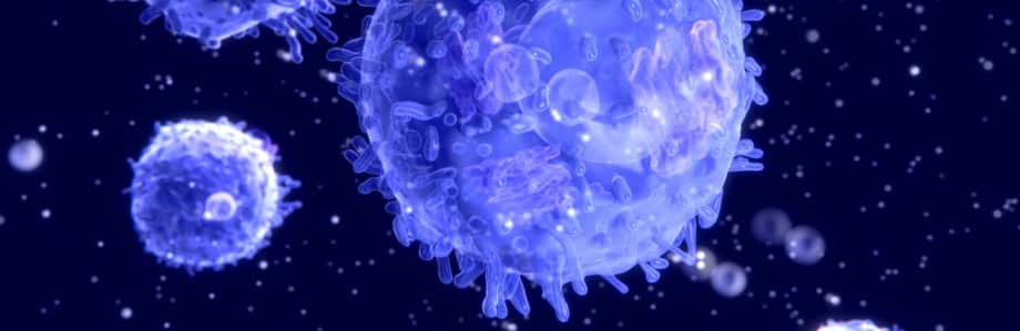 La recherche sur l’immunonutrition récompensée