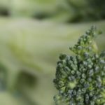 Du brocoli contre l’autisme?