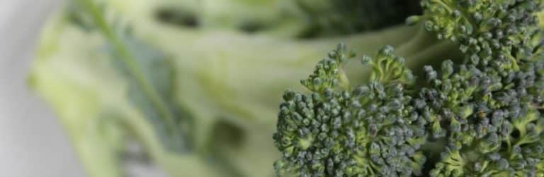 Du brocoli contre l’autisme?