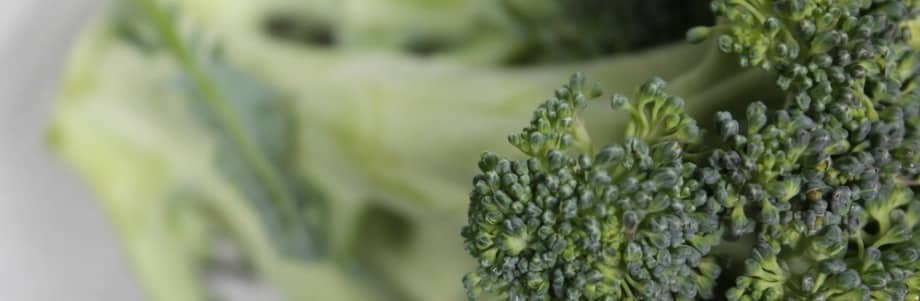 Du brocoli contre l’autisme?