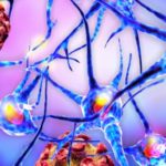 Multiple sclerose: gezond eten om beter te leven
