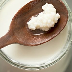 Kunnen geprogrammeerde probiotica obesitas bestrijden?