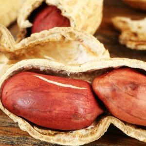Pinda-allergie: vroege blootstelling zou bescherming bieden