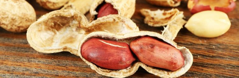 Allergie aux arachides: l’exposition précoce protégerait