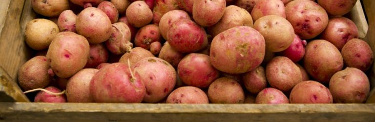 Maigrir en mangeant de la pomme de terre?