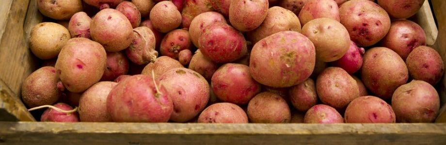 Maigrir en mangeant de la pomme de terre?