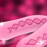 L’obésité nait pendant la grossesse