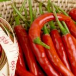 Le piment, une arme anti-obésité?