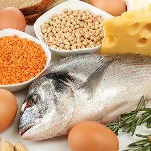 Protéines et glucides : le choix influence le poids