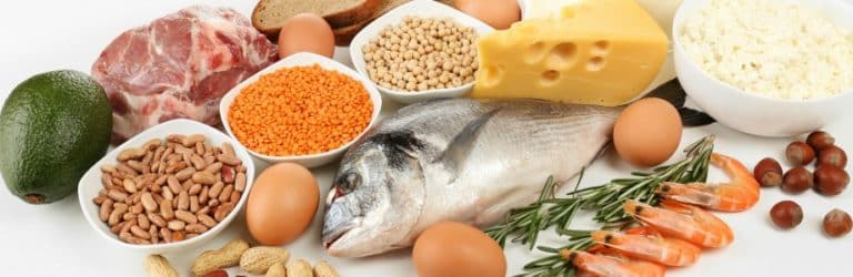 Protéines et glucides : le choix influence le poids