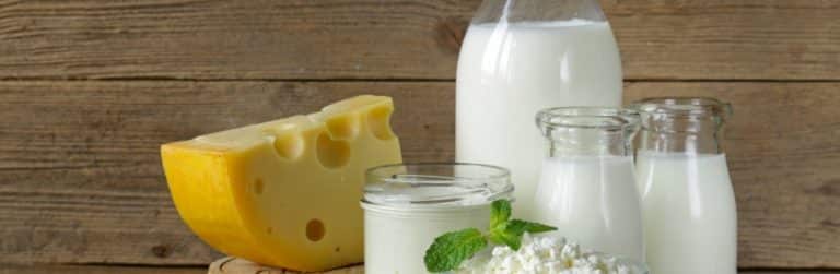 Les produits laitiers, critiqués, mais aussi méconnus