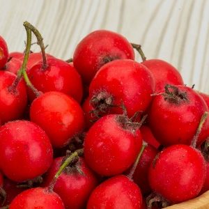 L&rsquo;olive d&rsquo;automne : un nouveau super fruit ?