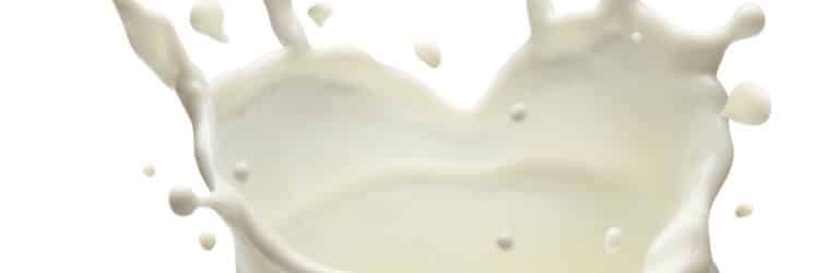 Produits laitiers et santé cardiovasculaire: quelles relations?