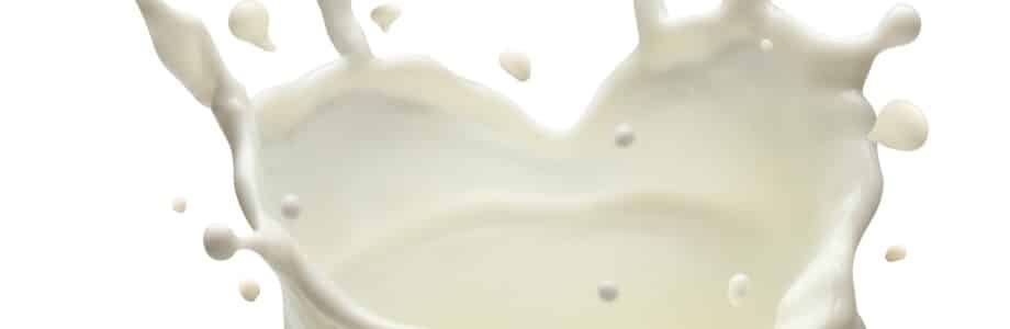 Produits laitiers et santé cardiovasculaire: quelles relations?