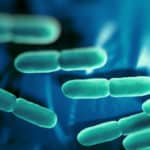 Première allégation de santé pour un probiotique en Europe