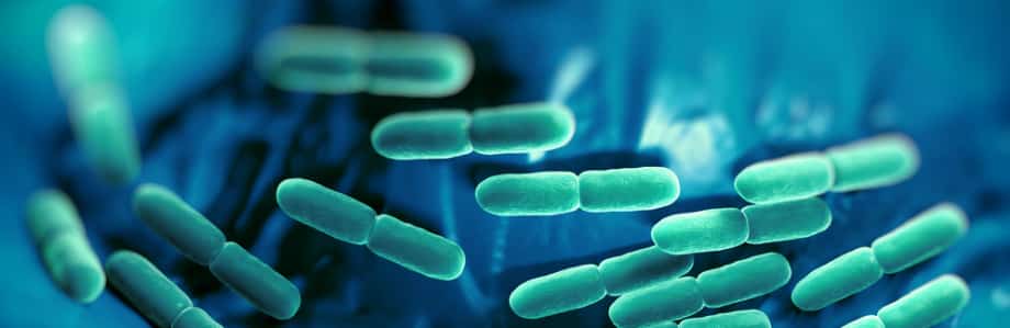 Première allégation de santé pour un probiotique en Europe