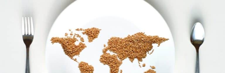 Honger en ondervoeding nemen wereldwijd af