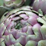 Cholestérol: une allégation pour un supplément à base d’artichaut