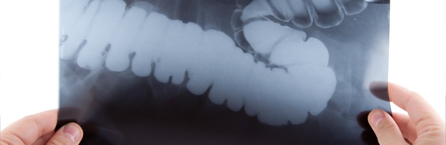 Le microbiome pour les nuls
