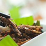 Les insectes bientôt plus nombreux dans nos assiettes?