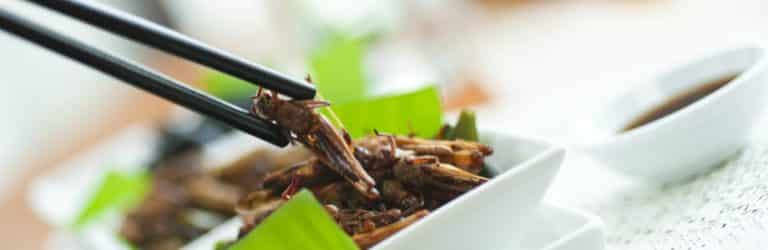 Binnenkort meer insecten op ons bord?