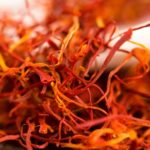 La curcumine du safran protège les poumons des prématurés