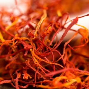 La curcumine du safran protège les poumons des prématurés