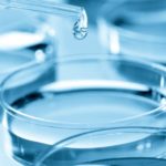 Le microbiote, nouvelle cible thérapeutique contre les allergies alimentaires