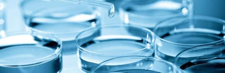 Le microbiote, nouvelle cible thérapeutique contre les allergies alimentaires