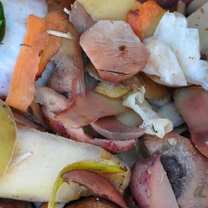 Le gaspillage alimentaire menace les ressources naturelles mondiales