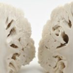 Reconditionner son cerveau aux aliments sains, c’est possible