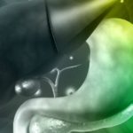 Le microbiote intestinal, écosystème déterminant de la santé