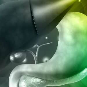 Le microbiote intestinal, écosystème déterminant de la santé