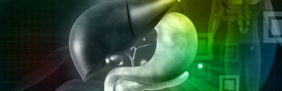 Le microbiote intestinal, écosystème déterminant de la santé