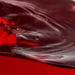 Vin rouge et boissons alcoolisées: les polyphénols font-ils la différence?