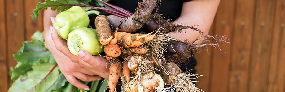 Jardiner améliore les habitudes alimentaires