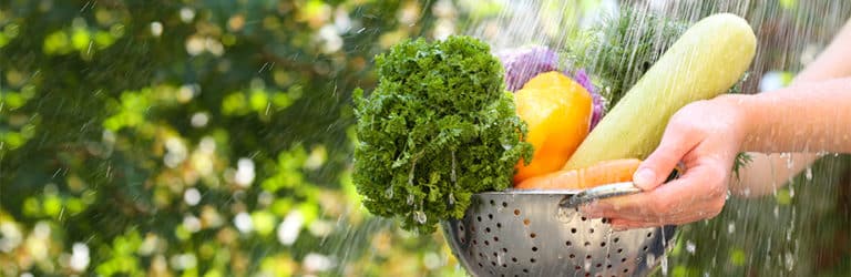 Vigilance alimentaire: 3 règles pour un été sans risque