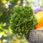 Voedselveiligheid: 3 regels voor een risicovrije zomer
