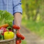 Le consommateur belge dépense davantage en produits bios