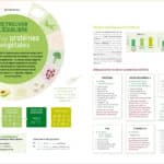 Nutrigraphics: Retrouver l’équilibre avec les protéines végétales