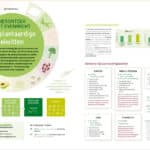 Nutrigraphics: herontdek het evenwicht met plantaardige eiwitten