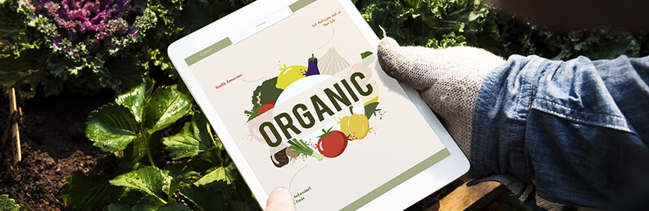 La disparition de la biodiversité menace notre alimentation