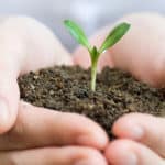 Un emballage biodégradable en 6 mois seulement