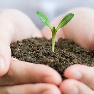 Verpakking die in 6 maanden biologisch afbreekt