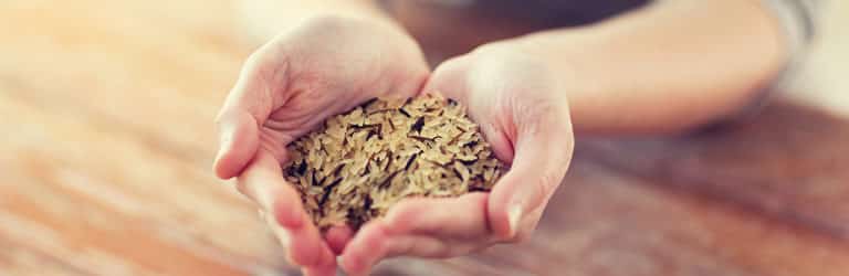Céréales: passer du raffiné au complet fait maigrir